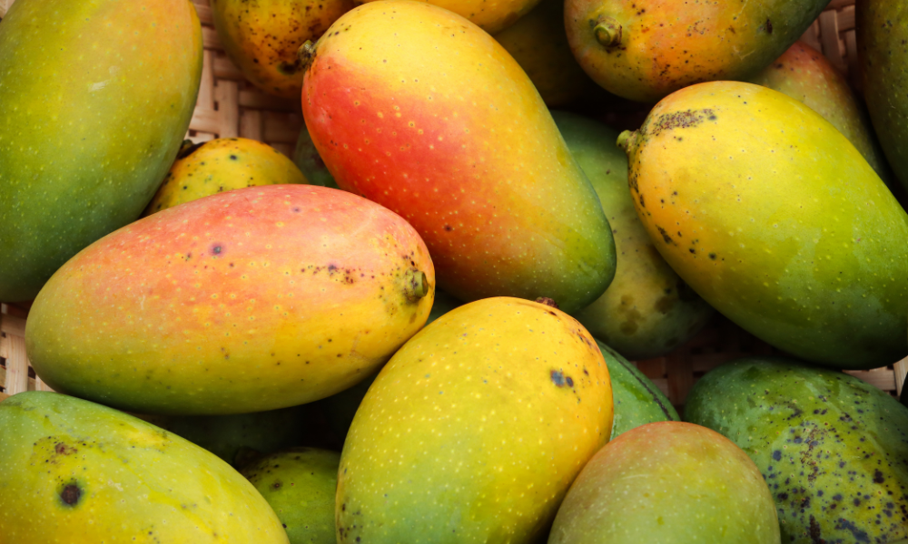Mangopitolie